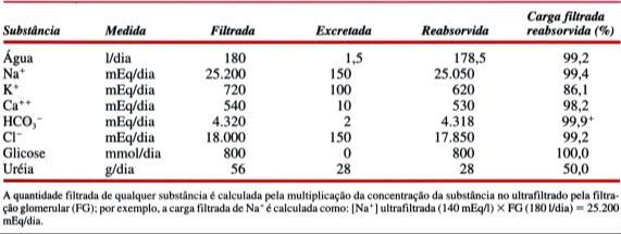 SECREÇÃO NOS TÚBULOS DO NÉFRON 1 túbulo proximal 4 2