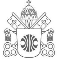 1 Pontifícia Universidade Católica de Minas Gerais Programa de