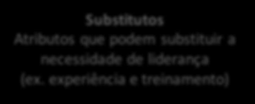 Desafios ao construto liderança Teoria da atribuição da liderança: a liderança é simplesmente uma atribuição que as pessoas concedem