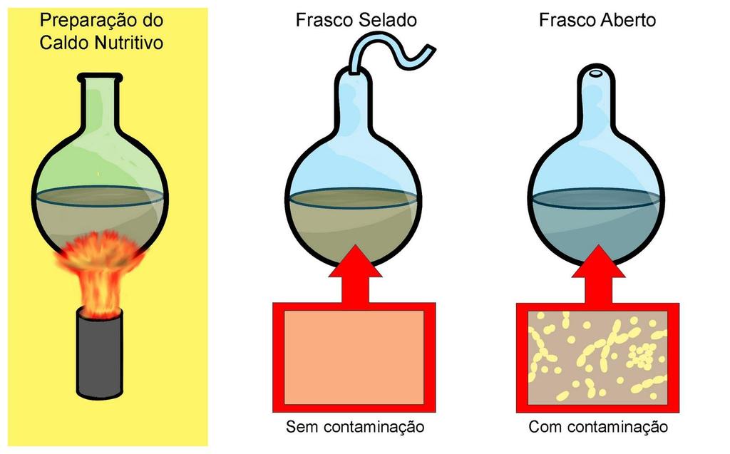 houve mais crescimento de microrganismos que pudessem ser gerados espontaneamente; Depois de vários meses removeu o pescoço de um frasco e nada tocou o frasco