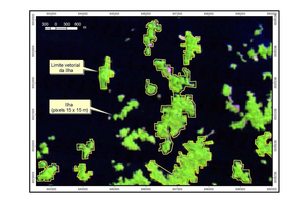 33 Figura 5 Imagem de satélite mostrando as ilhas de floresta (verde) no reservatório do UHE Tucuruí (fundo preto) e os limites vetoriais usados para desenhar o formato das ilhas.