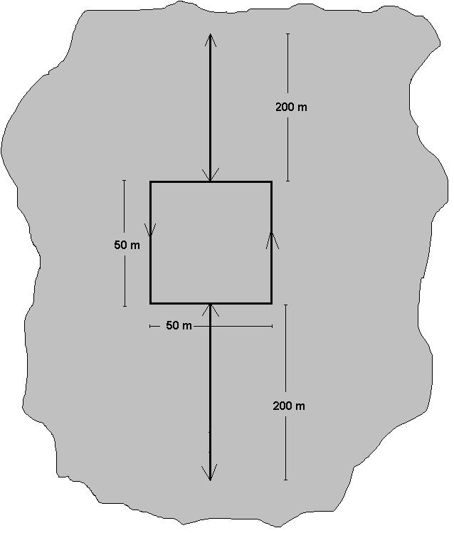 38 Legenda: Armadilhas (baldes) Transecto Ilha Figura 7 Representação esquemática da posição dos transectos e das armadilhas de