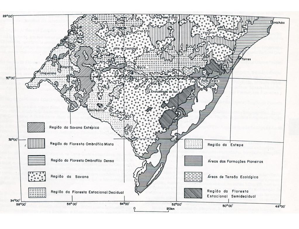 Figura 4: Mapa esquemático das formações fitogeográficas do Rio Grande do Sul, com destaque para as suas porções limítrofes (adaptado de Teixeira e Neto, 1986).