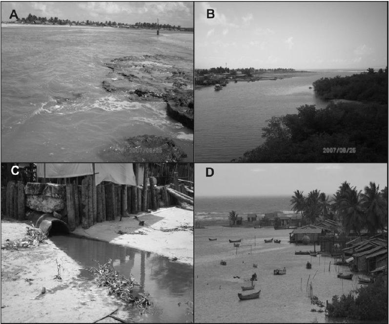 A dinâmica da foz altera a posição da linha de costa e o balanço sedimentar da região, o que por vezes faz aflorar beach rocks (Figura 3A), que dificultam a saída de pescadores para o oceano.