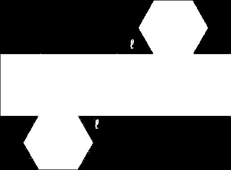 um plano paralelo às bases, sendo que esta região poligonal é congruente a cada
