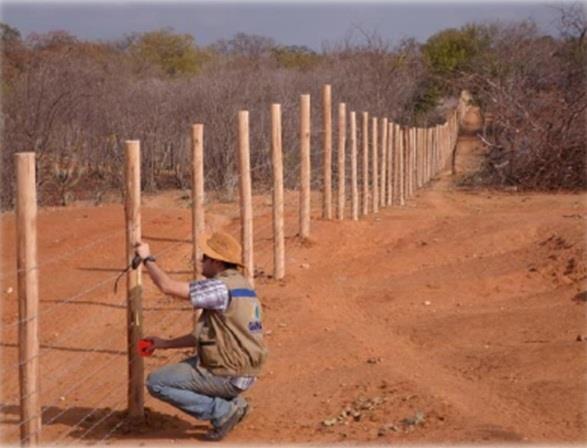 Projeto de recuperação hidroambiental na Bacia