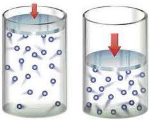 Gases Um gás é formado de átomos (isolados ou unidos em moléculas) que preenchem totalmente o volume do recipiente.