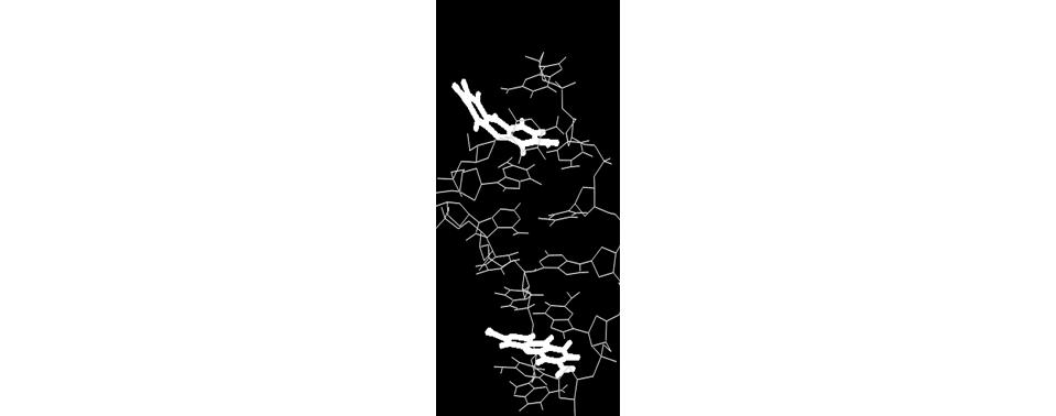 O anião [BF4 - ] apresenta as interações mais fortes com a Proflavine do que o anião [PF6 - ].