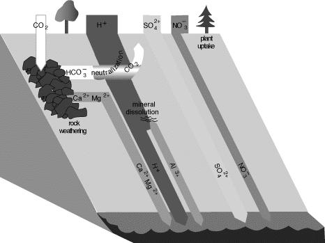 depressional areas.