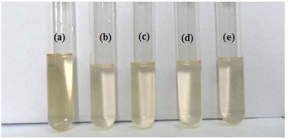 Figura 4. Acompanhamento espectrofotométrico UV Vis de degradação do efluente pelo processo Fenton. Pode ser observado pela Figura 5, a descoloração do efluente no decorrer do processo Fenton.