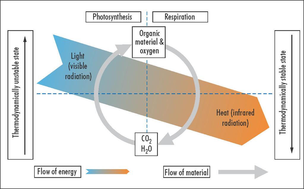 Produção de Matéria Orgânica Produção de Matéria Orgânica Produção primária (PP): fotossíntese Produção primária (PP) Ciclo anual: produção = consumo Produção de energia 1,5 10 14 watts/ano = 150.
