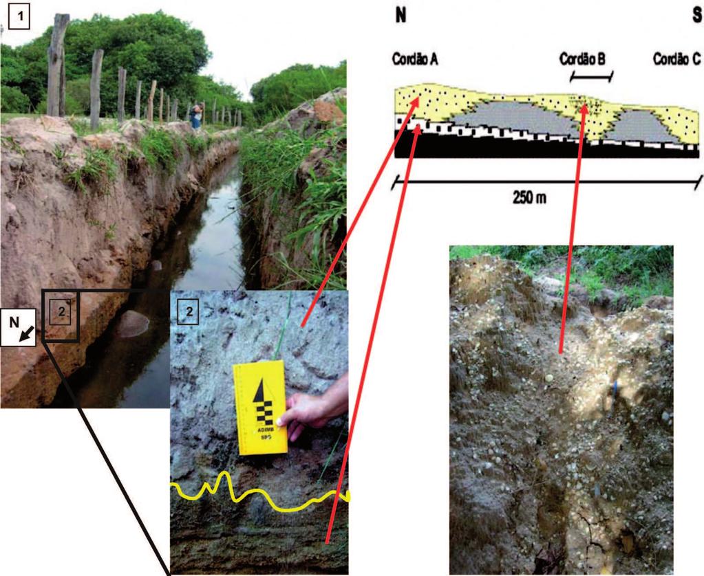 BAÍA DE SEPETIBA - ESTADO DA ARTE Figura 9 Vista parcial (1) e em detalhe (2) dos cordões arenosos A e B e sua variação granulométrica em profundidade na trincheira aberta para este estudo.
