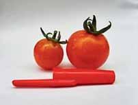 Déficit de polinização e importância dos polinizadores para a produção de tomates Experimentos de polinização de flores do tomateiro realizados com diferentes cultivares indicaram que a