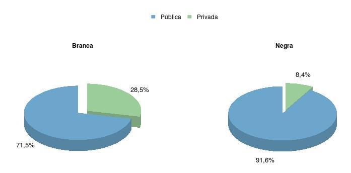 Figura 19 - Porcentagens de estudantes inscritos no ENEM 2012 brancos e negros nas escolas públicas e privadas. Fonte: Elaborado pelo autor com base nos dados do ENEM/INEP 2012.