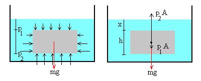 Princípio de Arquimedes Um corpo total ou parcialmente mergulhado em um fluido sofre um empuxo de baixo para cima igual ao peso do fluido por ele