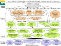 Comunicação da Estratégia de Conhecimento da Petrobras Uso da Metodologia de Balanced Scorecard de Kaplan e