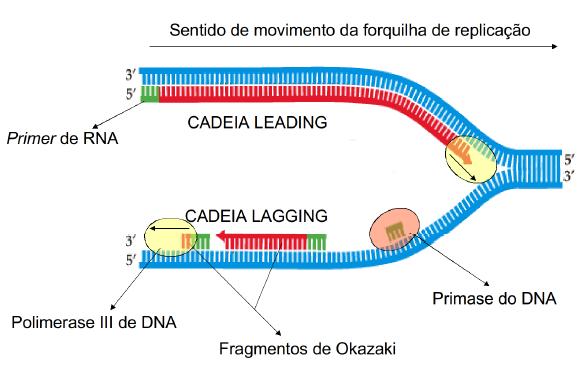 Adição dos