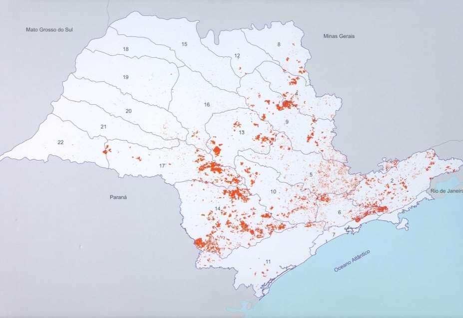 Reflorestamentos em São Paulo Mesmo onde há
