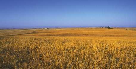 Compromissos dos aderentes do Plano Zonal Obriga uma rotação plurianual entre uma cultura de cereal e o pousio; Proporciona uma área significativa de pastagens (>50%), que são áreas de