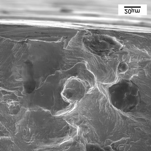 raiz dos entalhes dos corpos de prova com e sem roleteamento não ensaiados. Figura 5 Micrografia da região do entalhe roleteado. As setas indicam nódulos (olho de boi) completamente deformados.
