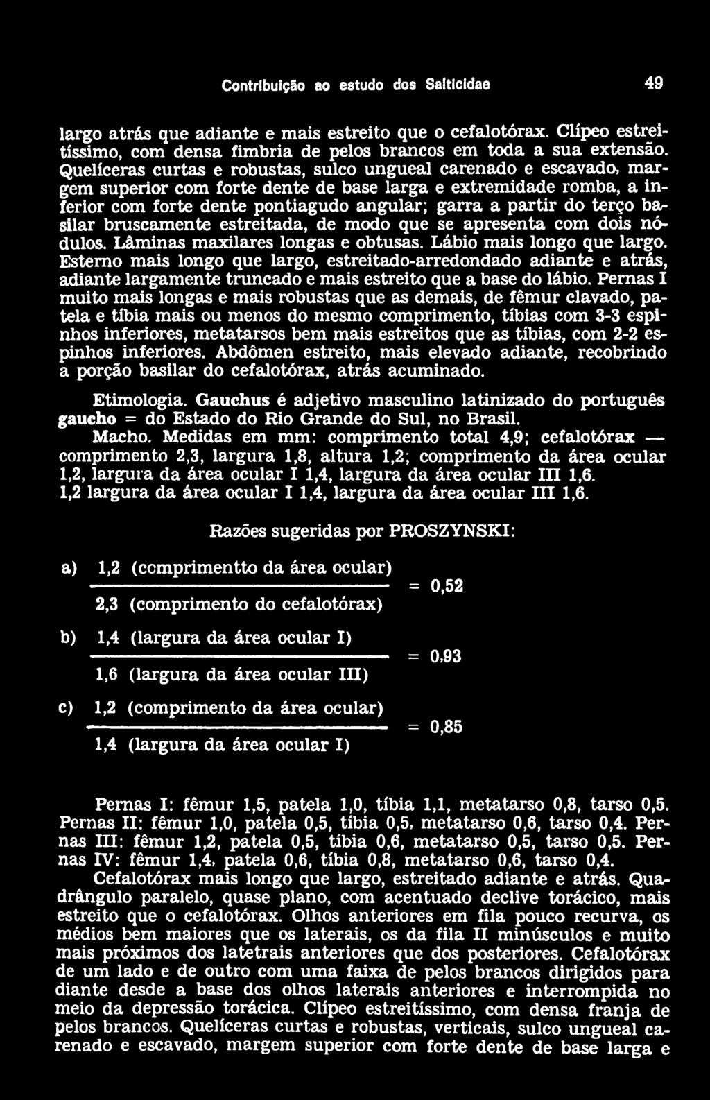 terço bar silar bruscamente estreitada, de modo que se apresenta com dois nódulos. Lâminas maxilares longas e obtusas. Lábio mais longo que largo.