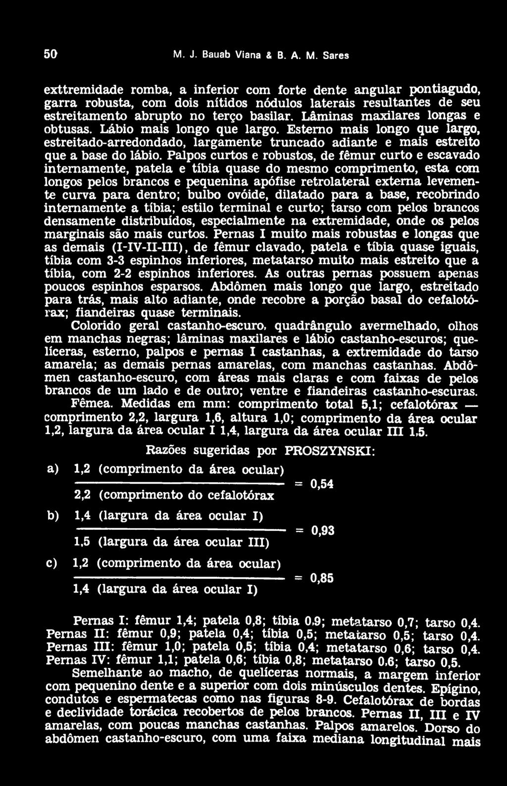 Palpos curtos e robustos, de fêmur curto e escavado internamente, patela e tíbia quase do mesmo comprimento, esta com longos pelos brancos e pequenina apófise retrolateral externa levemente curva