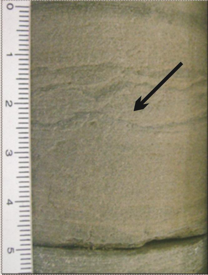 45 rico em micas (biotita em sua maioria preservadas), com cimento calcífero e com estruturas de fluidização do tipo wave e bioturbação (Foto 3); a litofácies Aac é