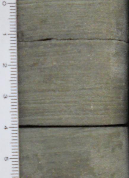 49 As três primeiras litofácies carbonáticas correspondem a rochas da Formação Crato, e a última litofácies é correspondente a Formação Romualdo, ambas do Grupo Santana da Bacia de Jatobá.
