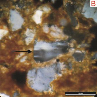 Os grãos de quartzo do tipo semicomposto ocorrem em menor proporção que os policristalinos de variedade