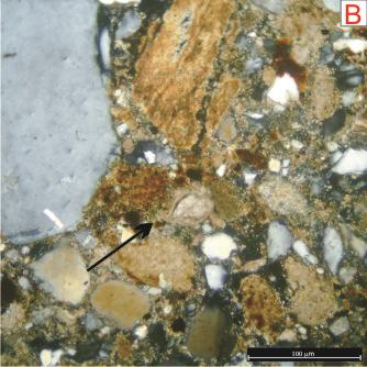 Fotos 35 A e B: Microfóssil de ostracode (seta preta) identificado em meio a um subarcóseo pobremente selecionado cimentado por carbonato e óxido de ferro (Foto A: Nicóis paralelos e Foto B: Nicóis