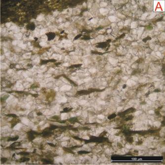 62 Fotos 36 A e B: Quartzarenito micáceo moderadamente selecionado com orientação preferencial das biotitas e cimentado por carbonato de cálcio (Foto A: Nicóis paralelos e Foto B: Nicóis cruzados -
