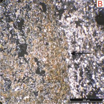 Fotos 42 A e B: Bioturbação gerada em quartzarenito muito fino, em que se observam as micas (biotita e muscovita)