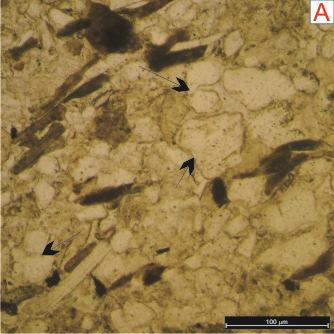 68 mecânica, a dissolução de feldspatos, precipitação de pirita e a cimentação por calcita poiquilotópica.