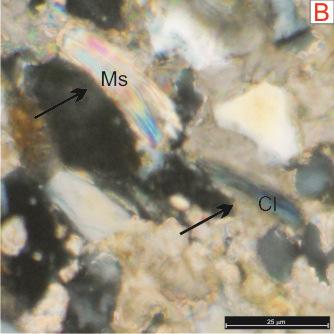 A dissolução de feldspatos (plagioclásio, microclíno e ortoclásio) foi pouco observada, isto implica que o fluido percolante, entre o arcabouço mineral, não foi tão agressivo a ponto de dissolver