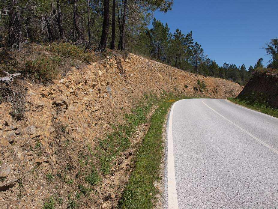 clima da época geológica em que se formaram. Tudo indica que estes depósitos tenham sido originados num clima temperado frio e seco (CUNHA, 2000).