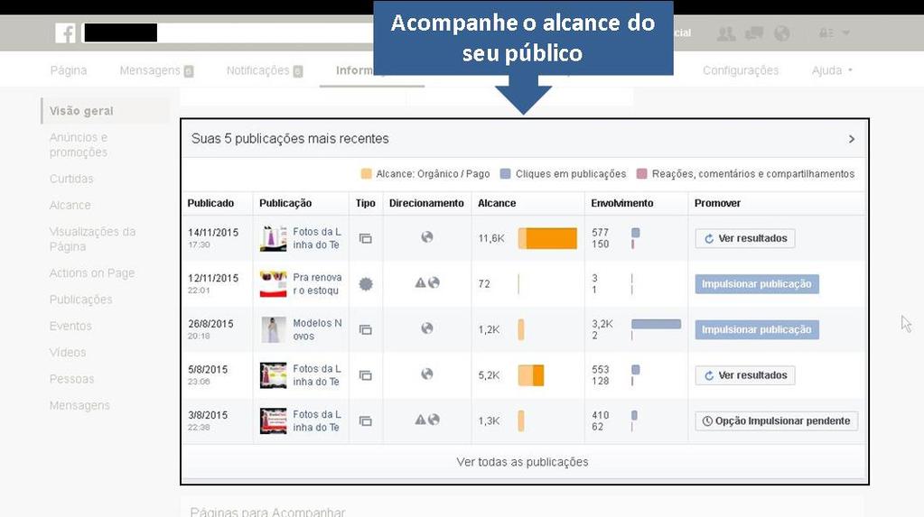 12 Mensure seus dados O Facebook oferece na fanpage do usuário, formas de acompanhar o andamento das campanhas. (ex: facebook.