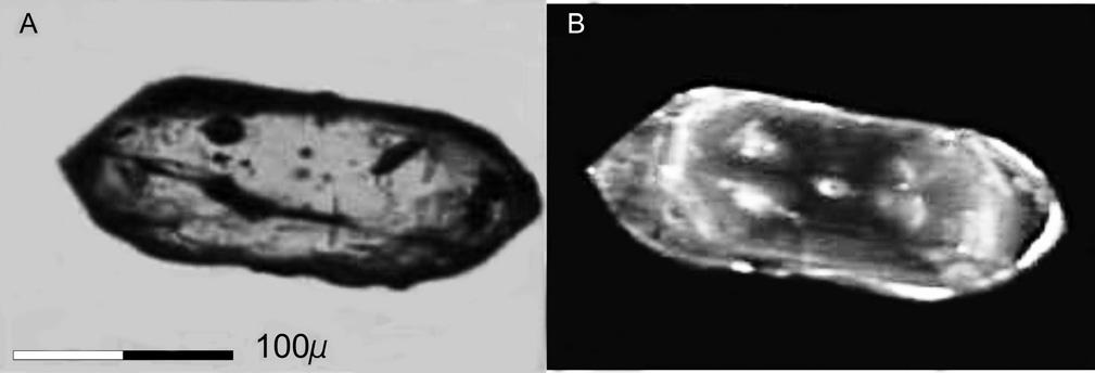 Geocronologia de rochas gnáissico-migmatíticas e sienograníticas do Núcleo Setuva (Pr): implicações tectônicas Figura 13: Imagens de zircões do mesossoma da rocha gnáissico-migmatítica da porção sul