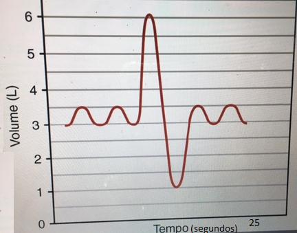 8- Qual a ventilação-minuto? a. 1L/min b. 2L/min c. 4L/min d. 5L/min e.