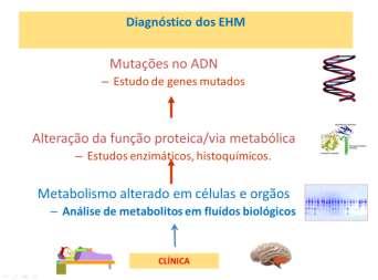 COMO SE REFLETE, ATUALMENTE, O DESENVOLVIMENTO DE NOVAS TECNOLOGIAS NO DIAGNÓSTICO DE EHM?