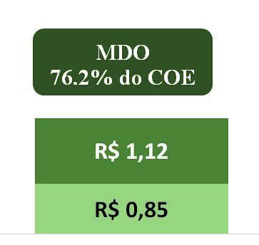 Com o custo de produção levantado e o preço de venda verificado no dia do painel, os produtores da região de Prata MG estão trabalhando com a seguinte margem bruta e lucro apresentados no Gráfico 4: