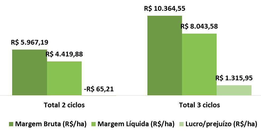 170/ hectare, produtividade de 35 m³/ha/ano e receita bruta de 31,20/m³, como apresentado na região de Curvelo-MG, levar a floresta ao terceiro ciclo de produção.