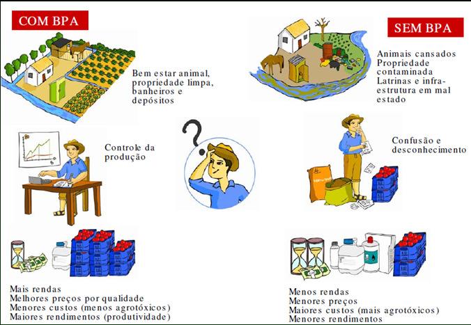 Por que utilizar BPA na propriedade?