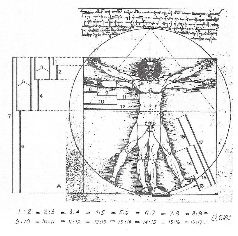 às proporções humanas, mas apenas teoricamente. Homem Vitruviano de Leonardo da Vinci final do século XVI.