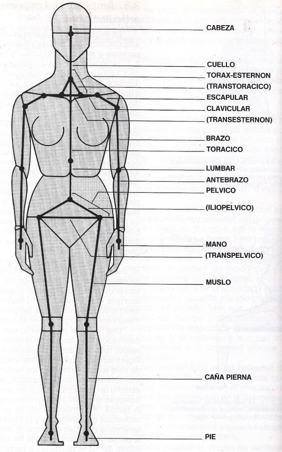 PANERO E ZELNIK, 2002, p.44 IIDA, 2001, p.