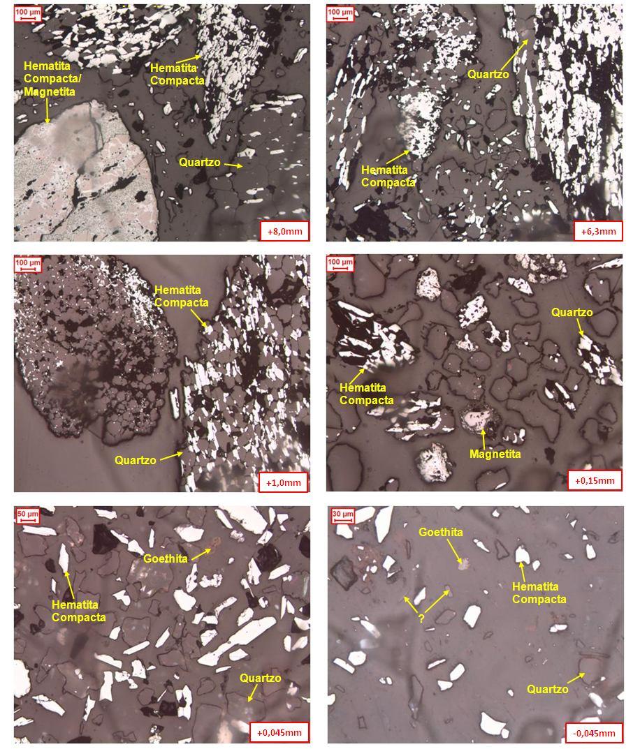 39 Figura 5.2 - Fotomicrografias da amostra 1 obtidas via microscopia ótica com os principais minerais identificados.