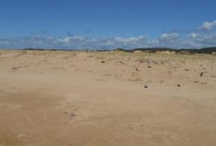 granulometria dos sedimentos, declividade da face de praia, largura da praia e classificação morfodinâmica das praias; ii) meio antrópico: urbanização da linha de costa, concentração de barracas de