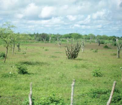 O município está incluído na área geográfica de abrangência do semiárido brasileiro, definida pelo