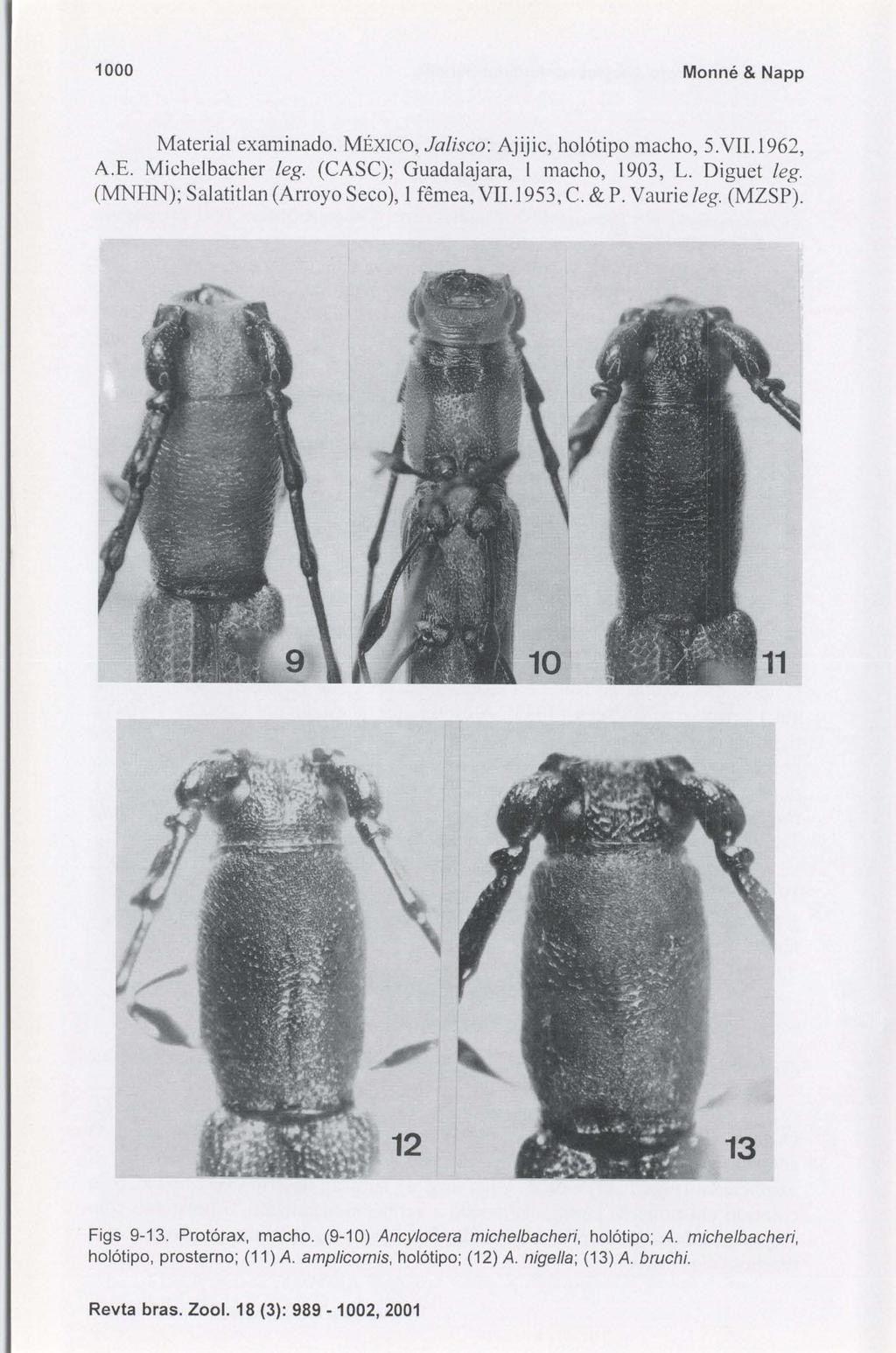 1000 Monné & Napp Material examinado. MÉXICO, Jalisco: Ajijic, holótipo macho, 5.VII.1962, A.E. Michelbacher leg. (CASC); Guadalajara, I macho, 1903, L.