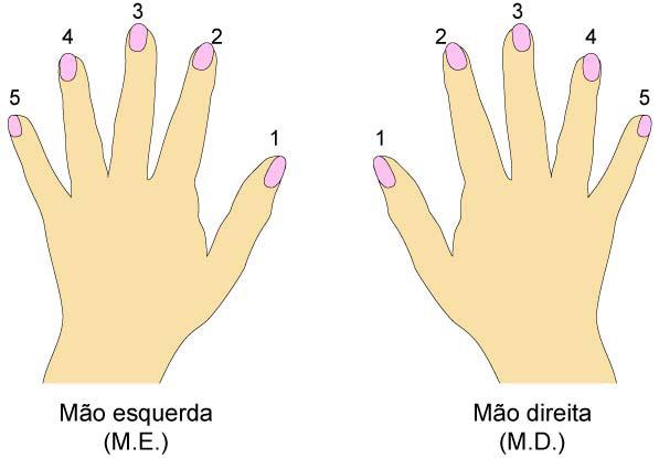 Figura 5 Numeração dos dedos. Observe a simetria dos dedos nesta posição (quando as mãos estão juntas), em oposição ao movimento que elas fazem quando estão sobre as teclas.
