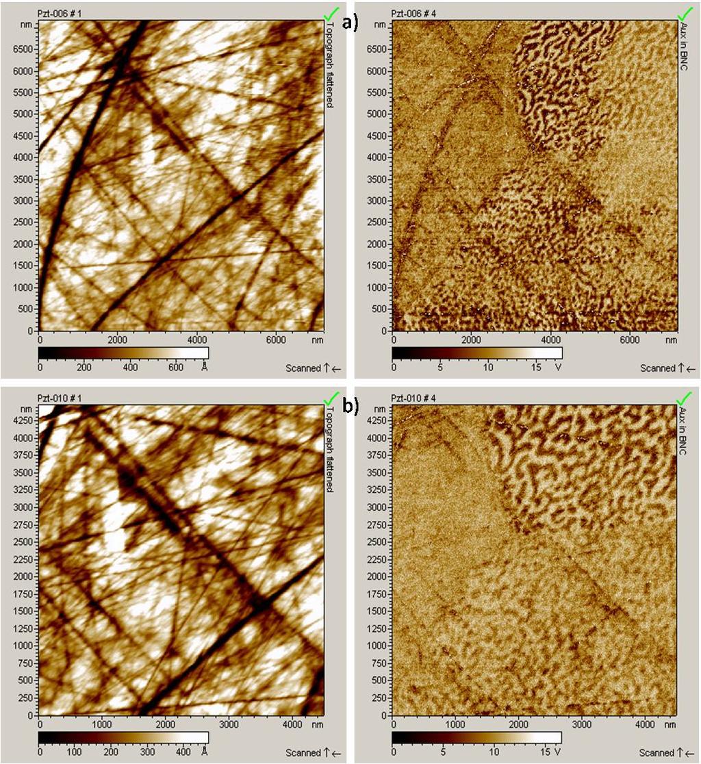 4. Resultados e discussão Fig. 0.38 - Imagens topográficas e de PFM obtidas no LCMBT da cerâmica com a composição Pb 0,9025 La 0,0975 (Zr 0,65 Ti 0,35 ) 0,976 O 3. Scan de (a) 7x7µm e (b) 4,5x4,5µm.